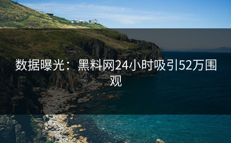 数据曝光：黑料网24小时吸引52万围观