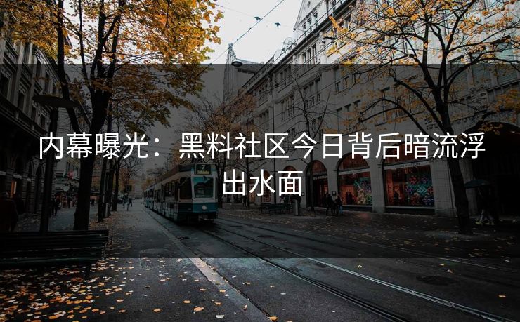 内幕曝光：黑料社区今日背后暗流浮出水面