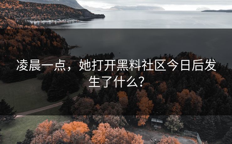 凌晨一点，她打开黑料社区今日后发生了什么？