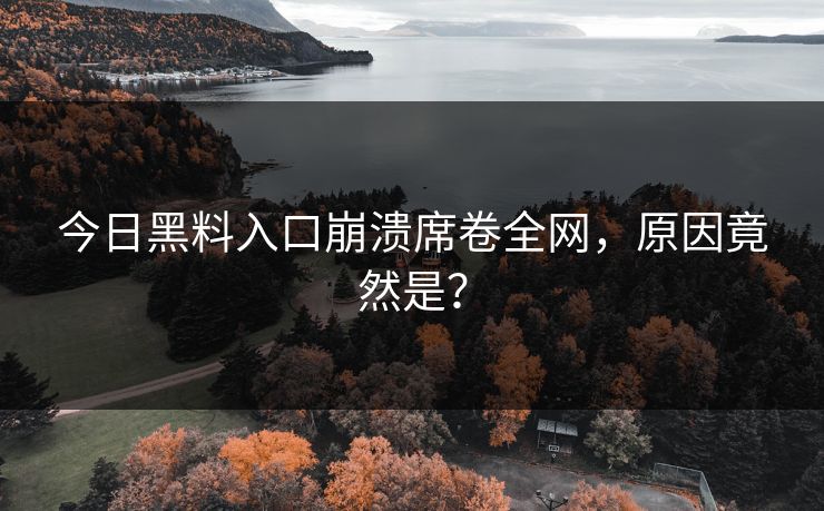 今日黑料入口崩溃席卷全网，原因竟然是？