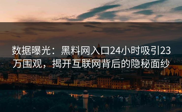 数据曝光：黑料网入口24小时吸引23万围观，揭开互联网背后的隐秘面纱