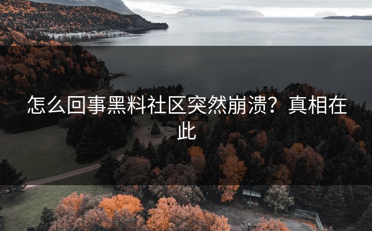 怎么回事黑料社区突然崩溃？真相在此