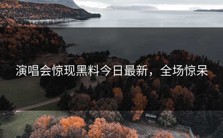 演唱会惊现黑料今日最新,全场惊呆