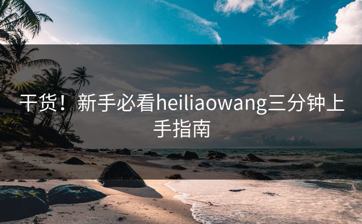 干货!新手必看heiliaowang三分钟上手指南