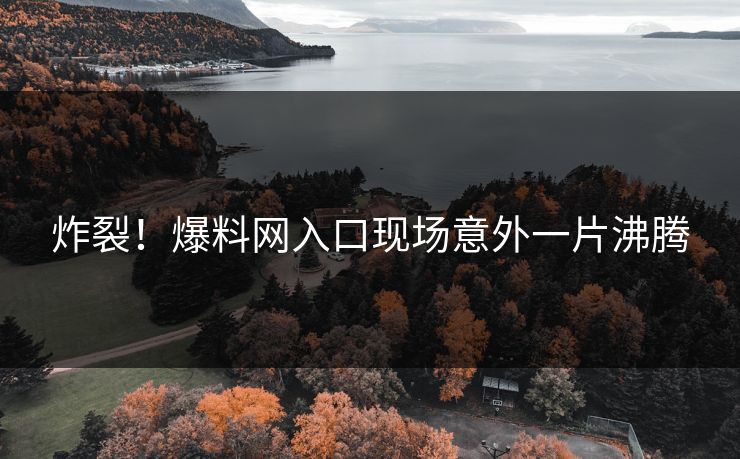 炸裂！爆料网入口现场意外一片沸腾