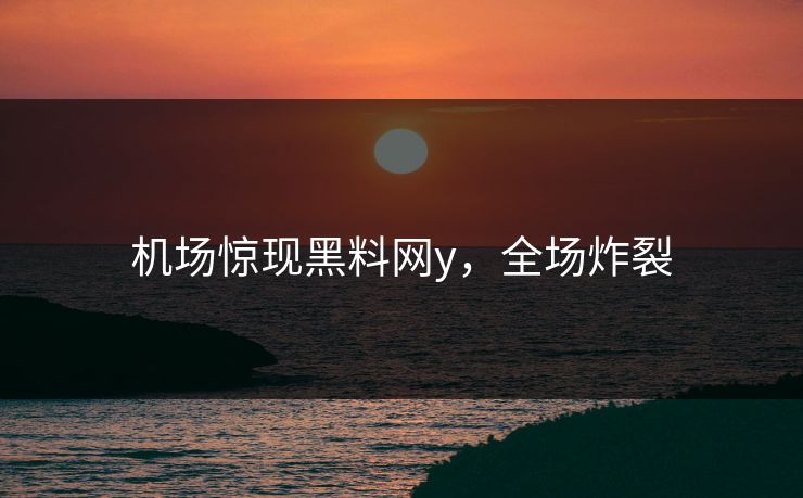 机场惊现黑料网y，全场炸裂
