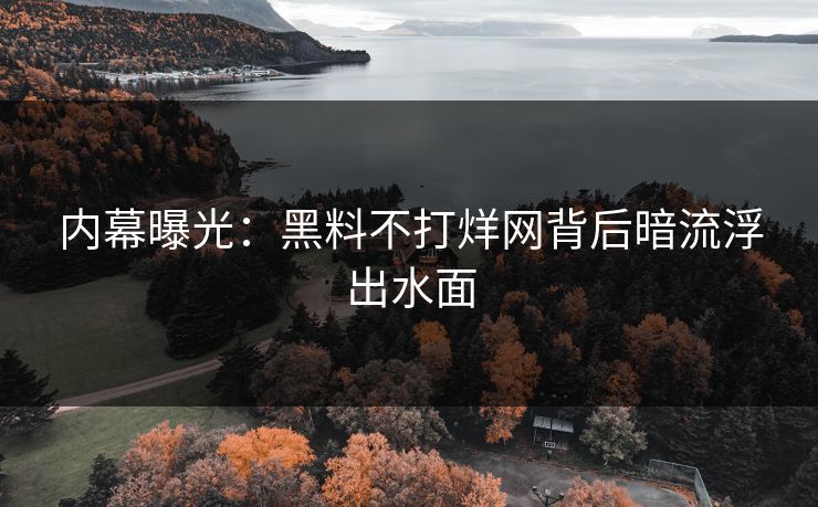 内幕曝光：黑料不打烊网背后暗流浮出水面