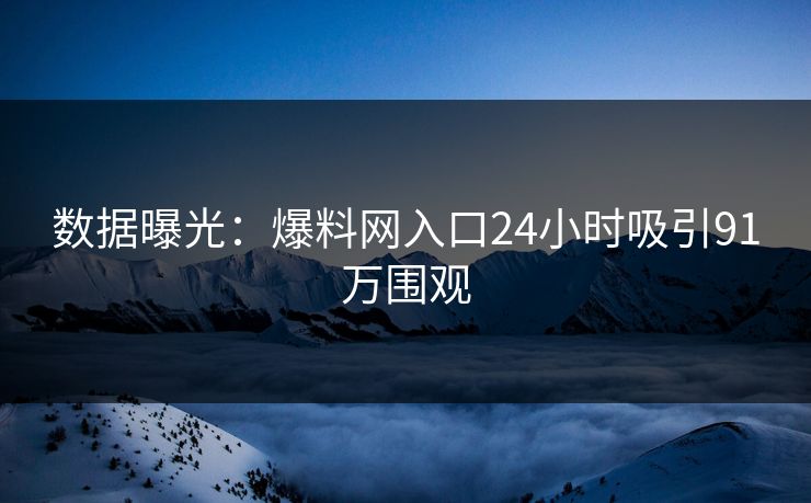 数据曝光：爆料网入口24小时吸引91万围观