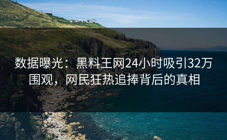 数据曝光：黑料王网24小时吸引32万围观，网民狂热追捧背后的真相