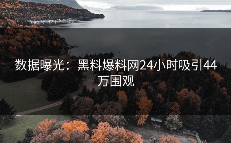 数据曝光：黑料爆料网24小时吸引44万围观