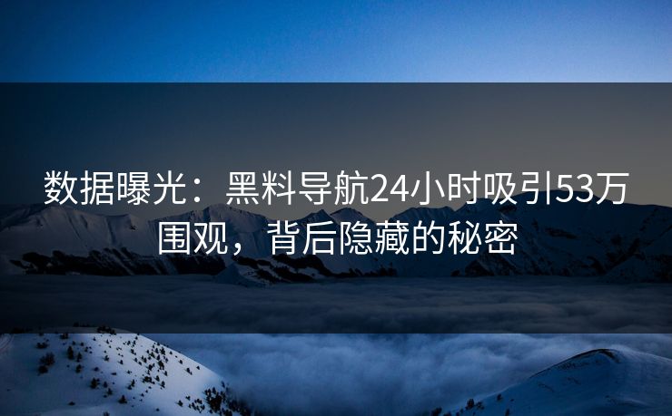 数据曝光：黑料导航24小时吸引53万围观，背后隐藏的秘密
