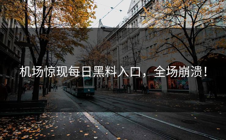 机场惊现每日黑料入口，全场崩溃！