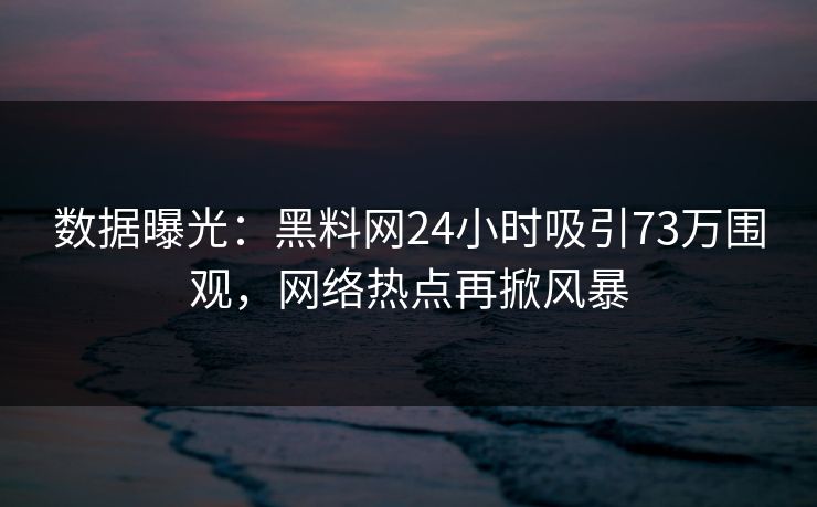 数据曝光：黑料网24小时吸引73万围观，网络热点再掀风暴