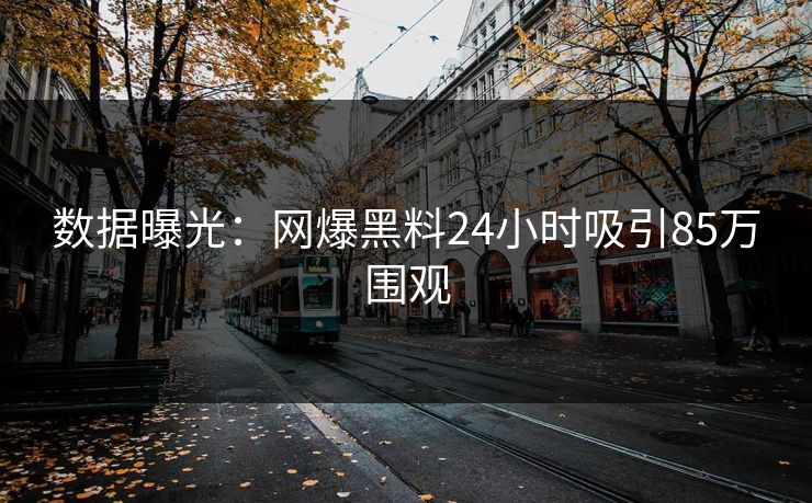 数据曝光：网爆黑料24小时吸引85万围观