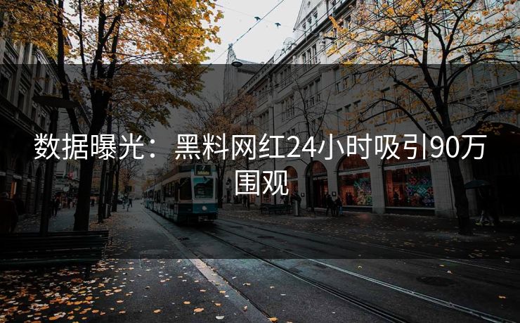 数据曝光：黑料网红24小时吸引90万围观