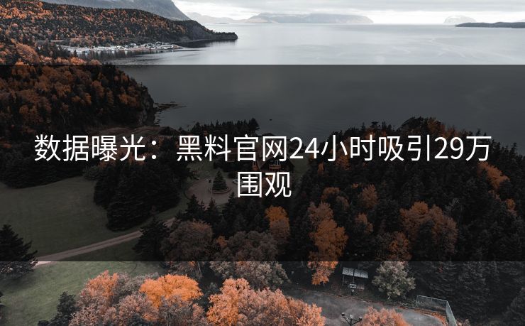 数据曝光：黑料官网24小时吸引29万围观