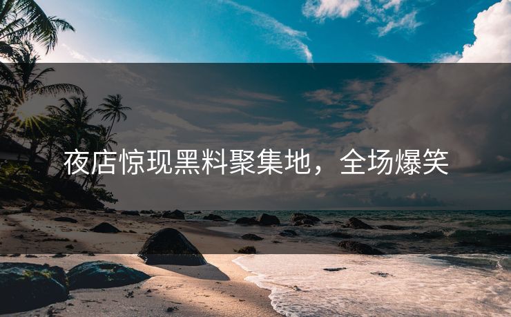 夜店惊现黑料聚集地，全场爆笑