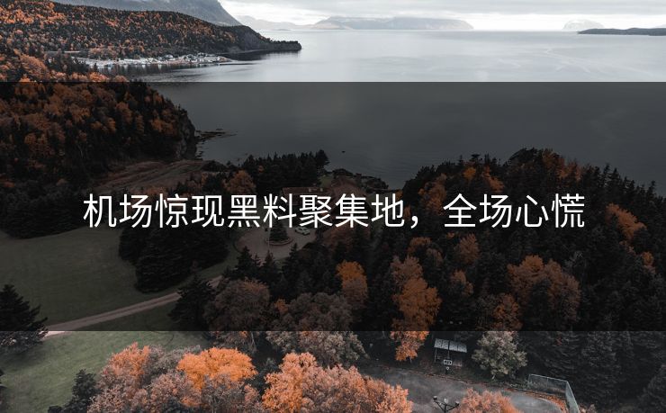机场惊现黑料聚集地，全场心慌
