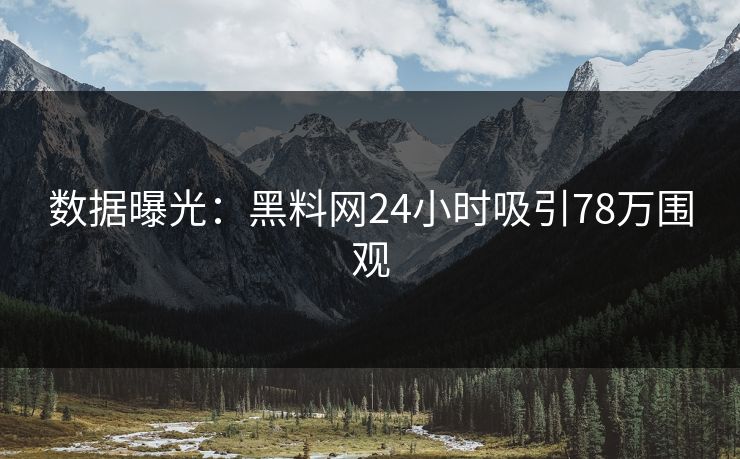 数据曝光：黑料网24小时吸引78万围观