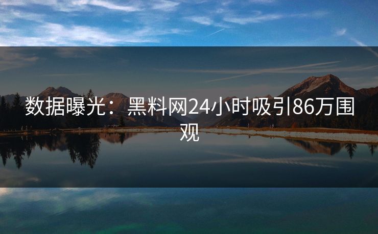 数据曝光：黑料网24小时吸引86万围观