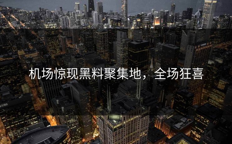 机场惊现黑料聚集地,全场狂喜