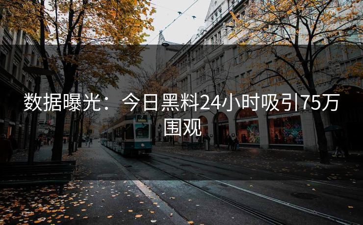 数据曝光：今日黑料24小时吸引75万围观