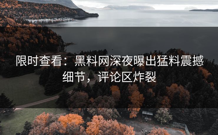 限时查看：黑料网深夜曝出猛料震撼细节，评论区炸裂
