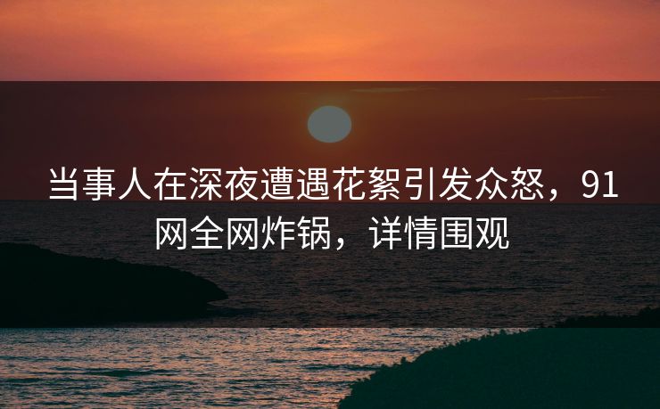 当事人在深夜遭遇花絮引发众怒，91网全网炸锅，详情围观