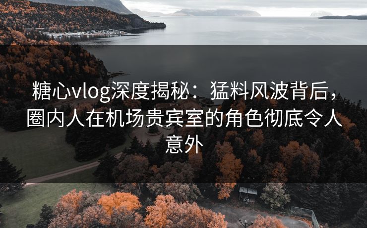 糖心vlog深度揭秘：猛料风波背后，圈内人在机场贵宾室的角色彻底令人意外