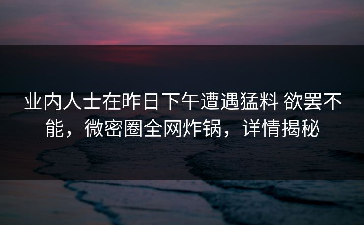 业内人士在昨日下午遭遇猛料 欲罢不能，微密圈全网炸锅，详情揭秘
